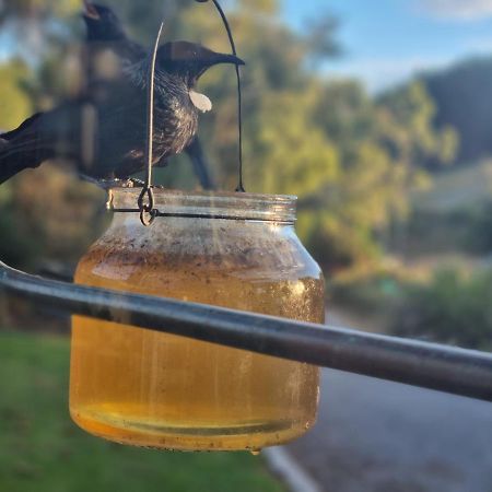Catlins Lake Sanctuary Owaka Εξωτερικό φωτογραφία