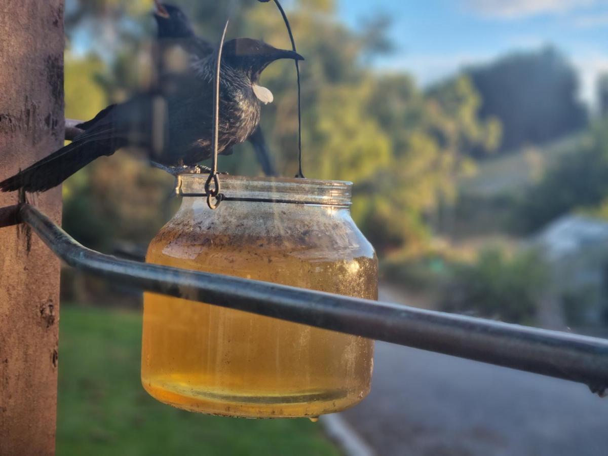 Catlins Lake Sanctuary Owaka Εξωτερικό φωτογραφία