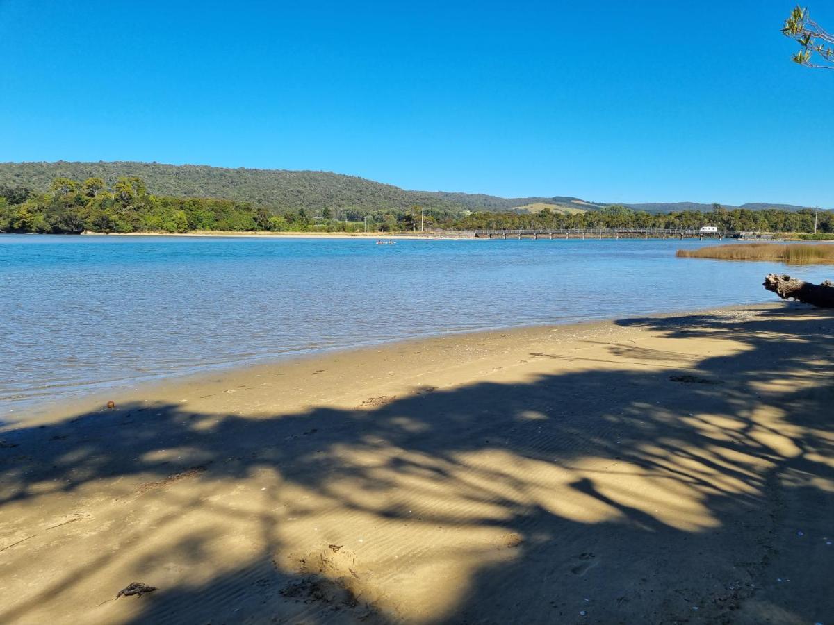 Catlins Lake Sanctuary Owaka Εξωτερικό φωτογραφία