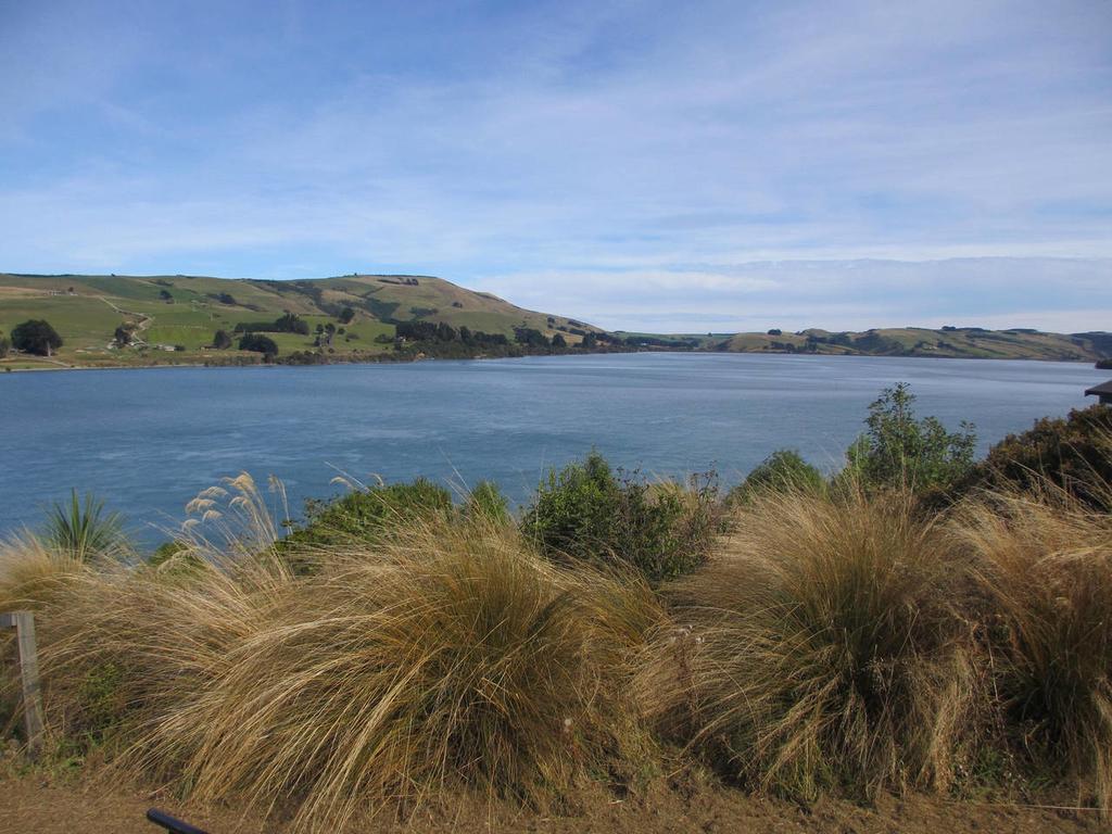 Catlins Lake Sanctuary Owaka Εξωτερικό φωτογραφία